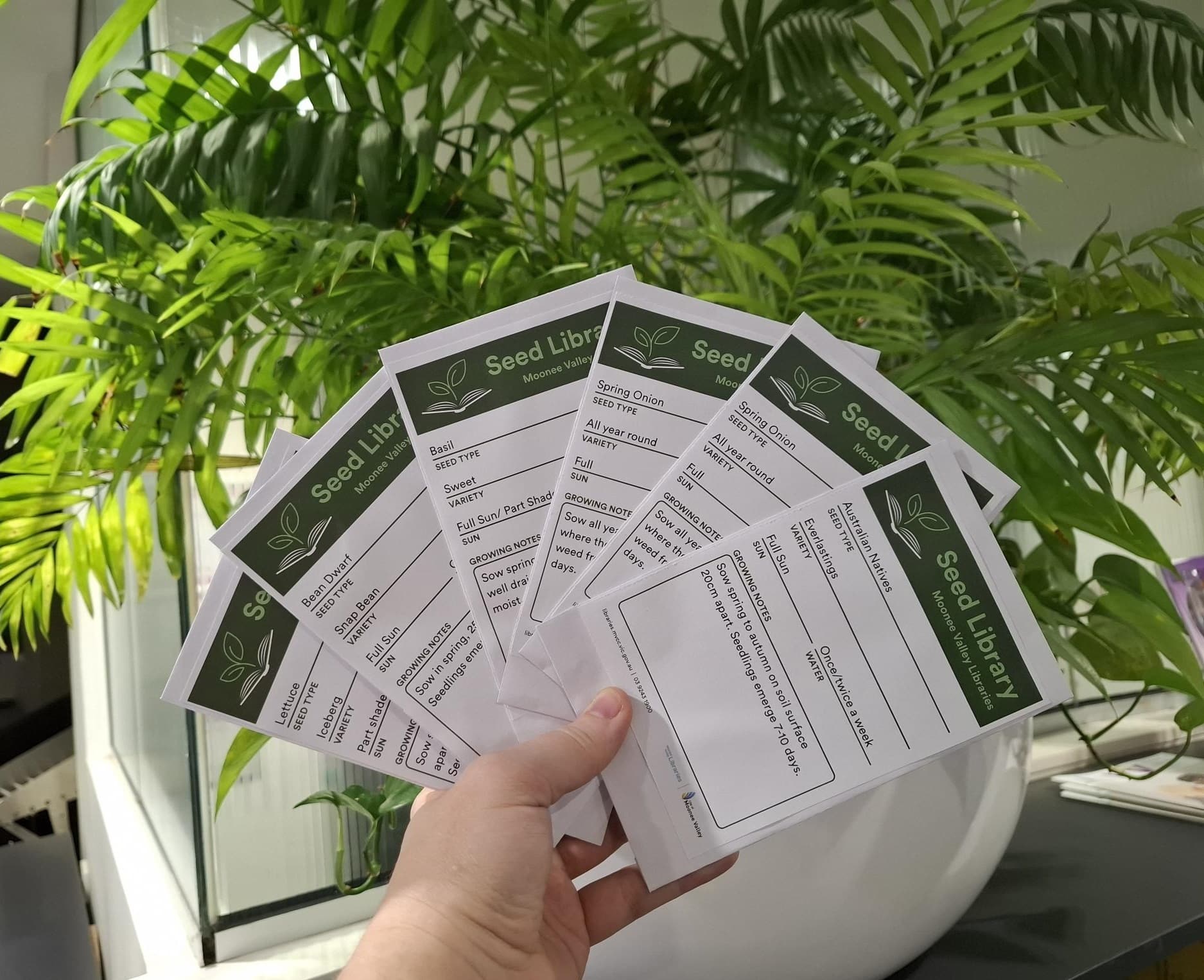 Seed packet photo